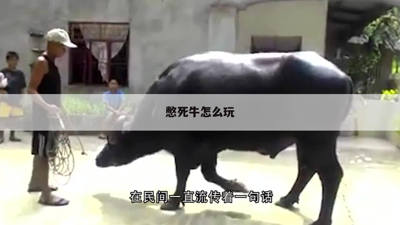 憋死牛怎么玩