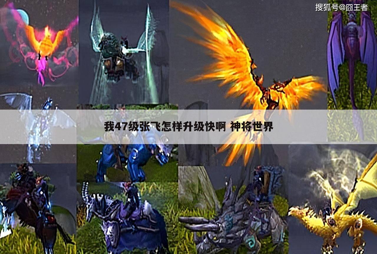 我47级张飞怎样升级快啊 神将世界