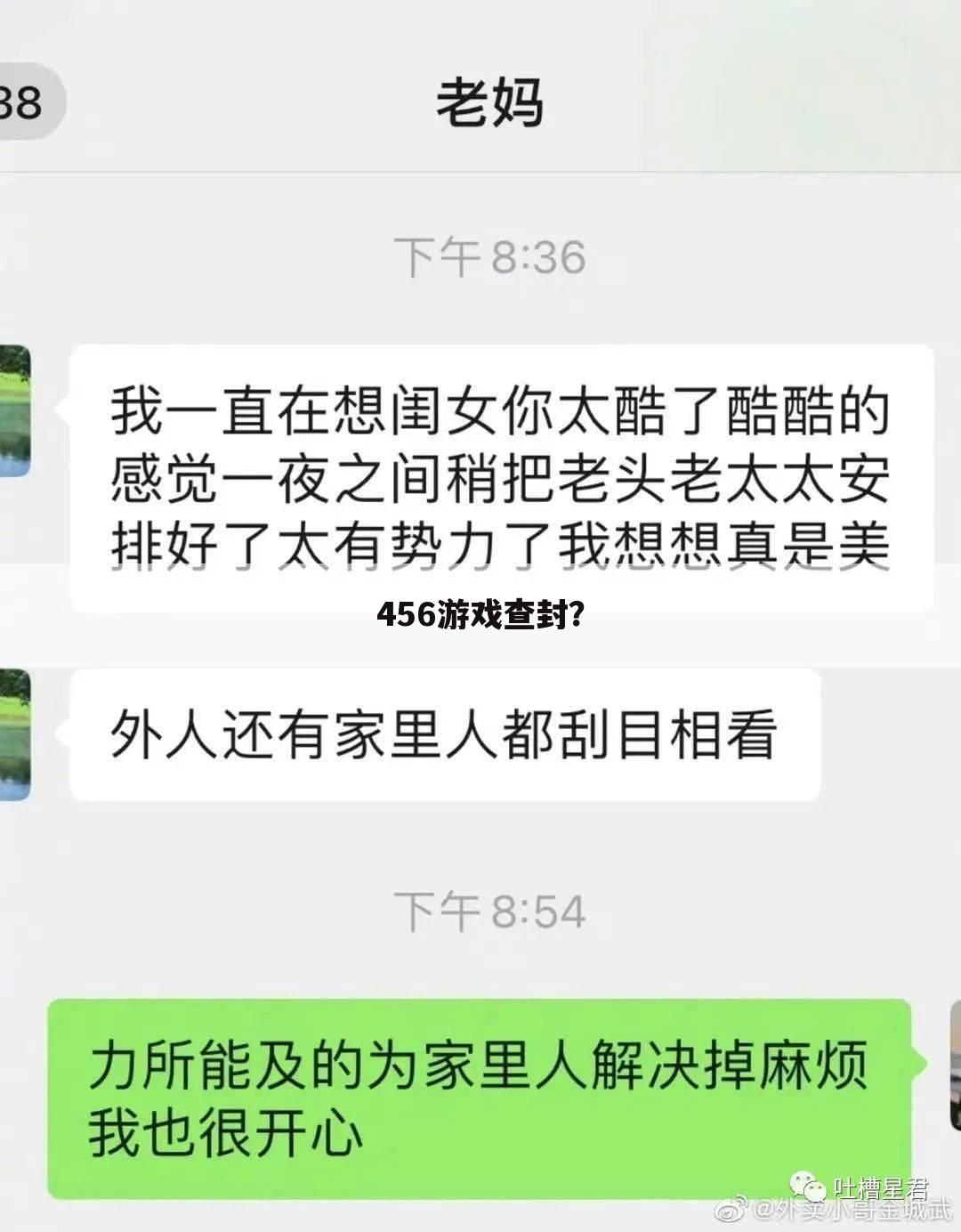 456游戏查封？