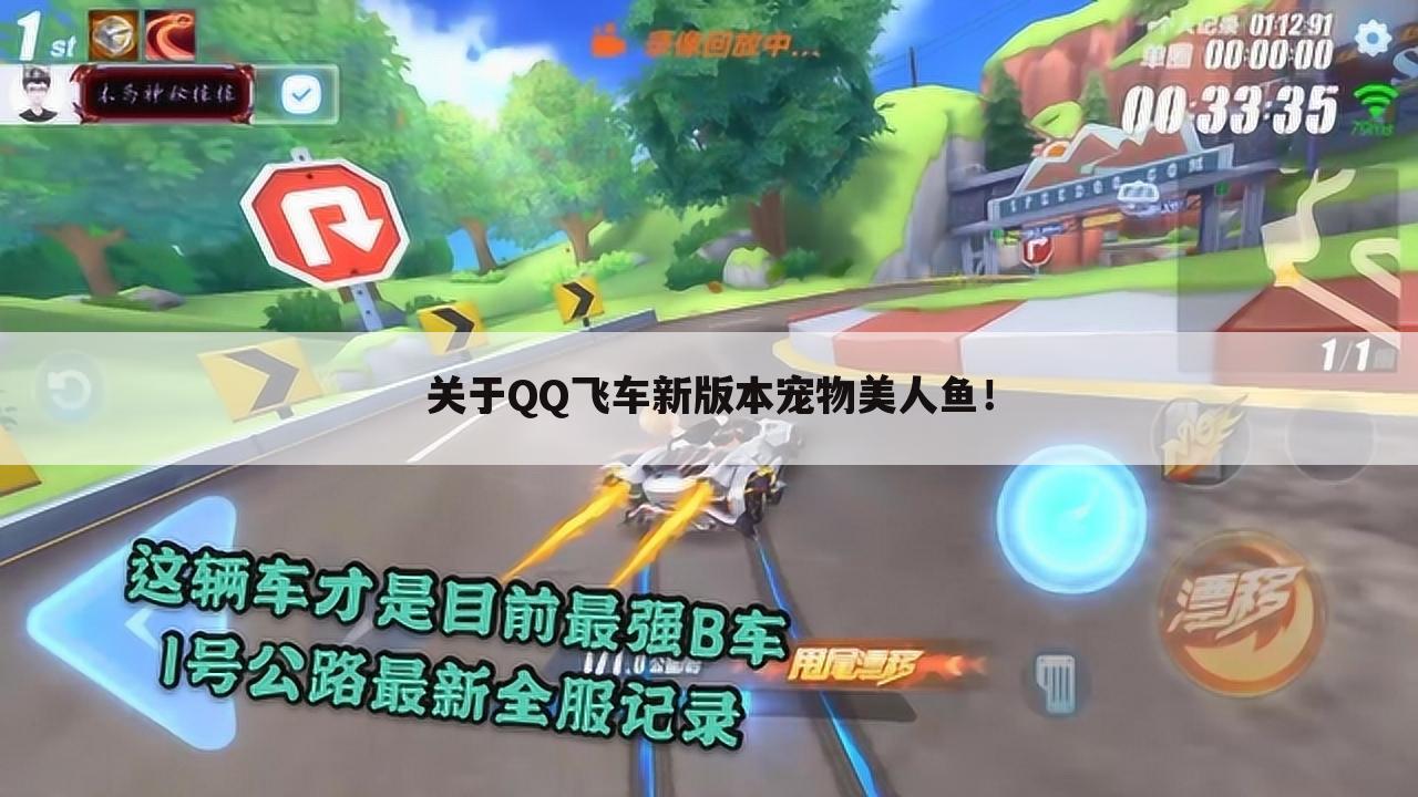 关于QQ飞车新版本宠物美人鱼！