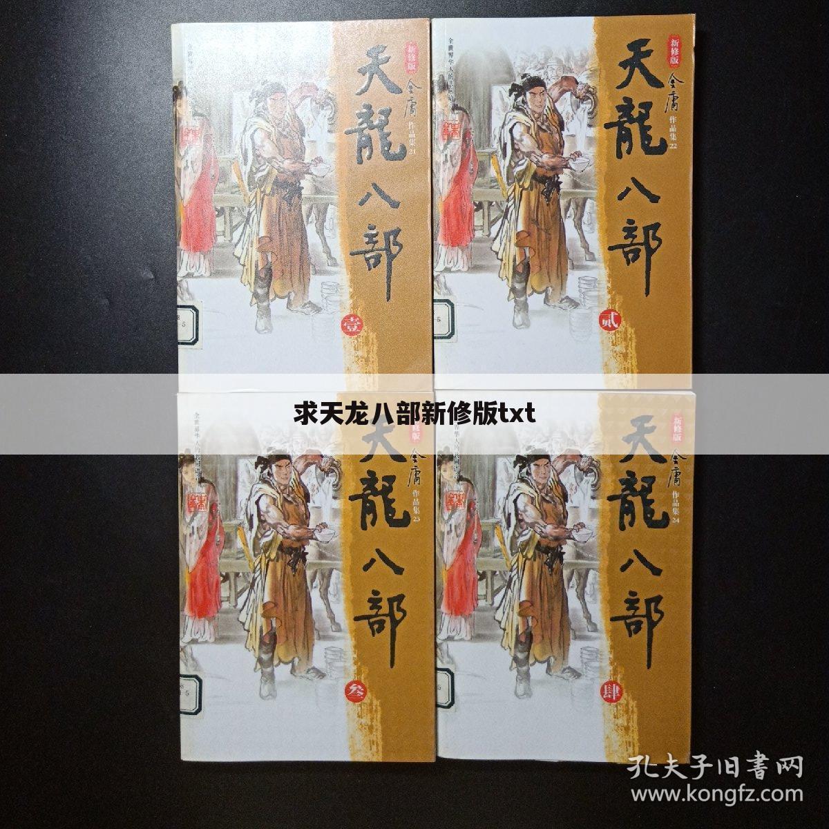 求天龙八部新修版txt