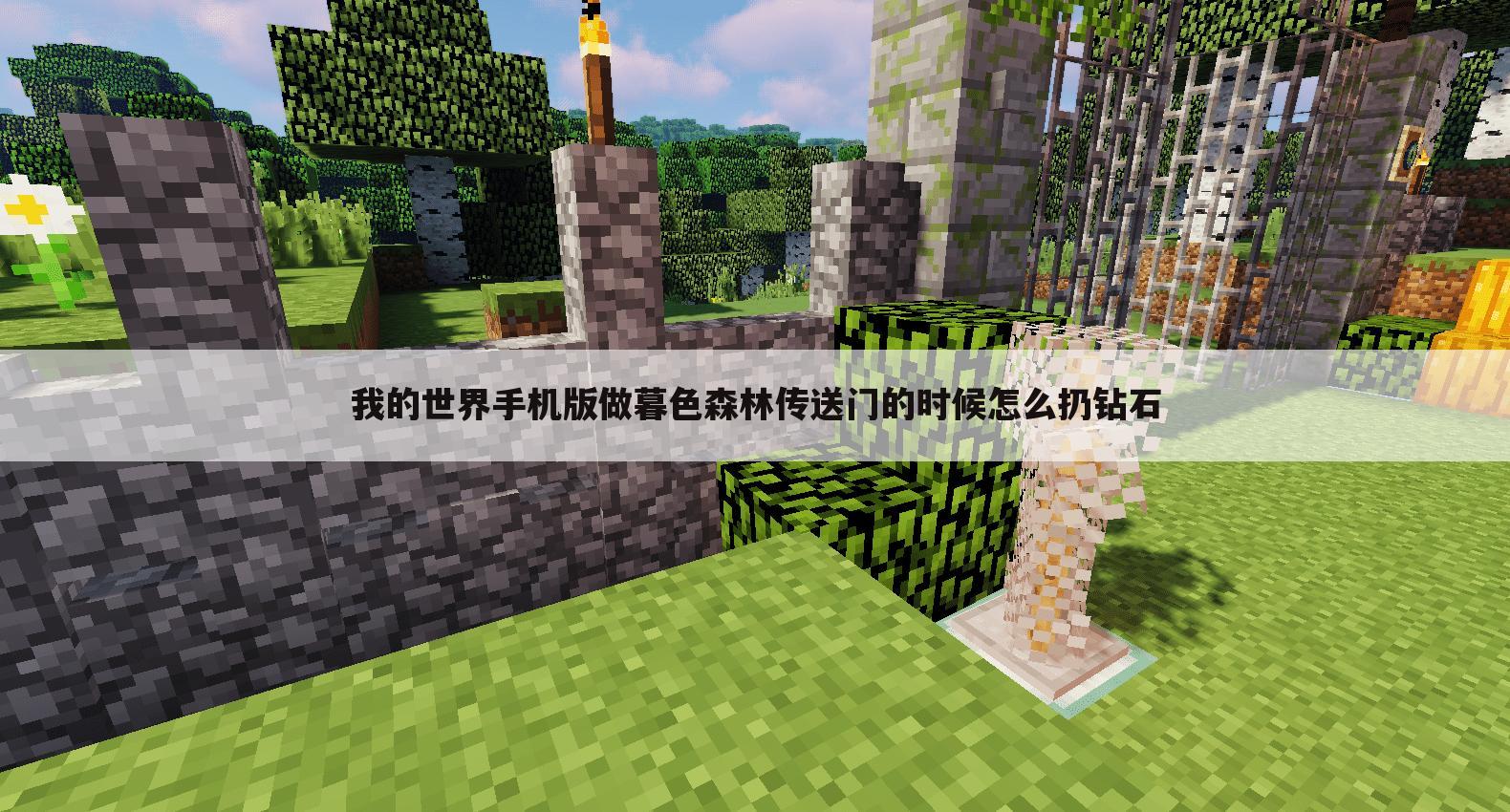 我的世界手机版做暮色森林传送门的时候怎么扔钻石