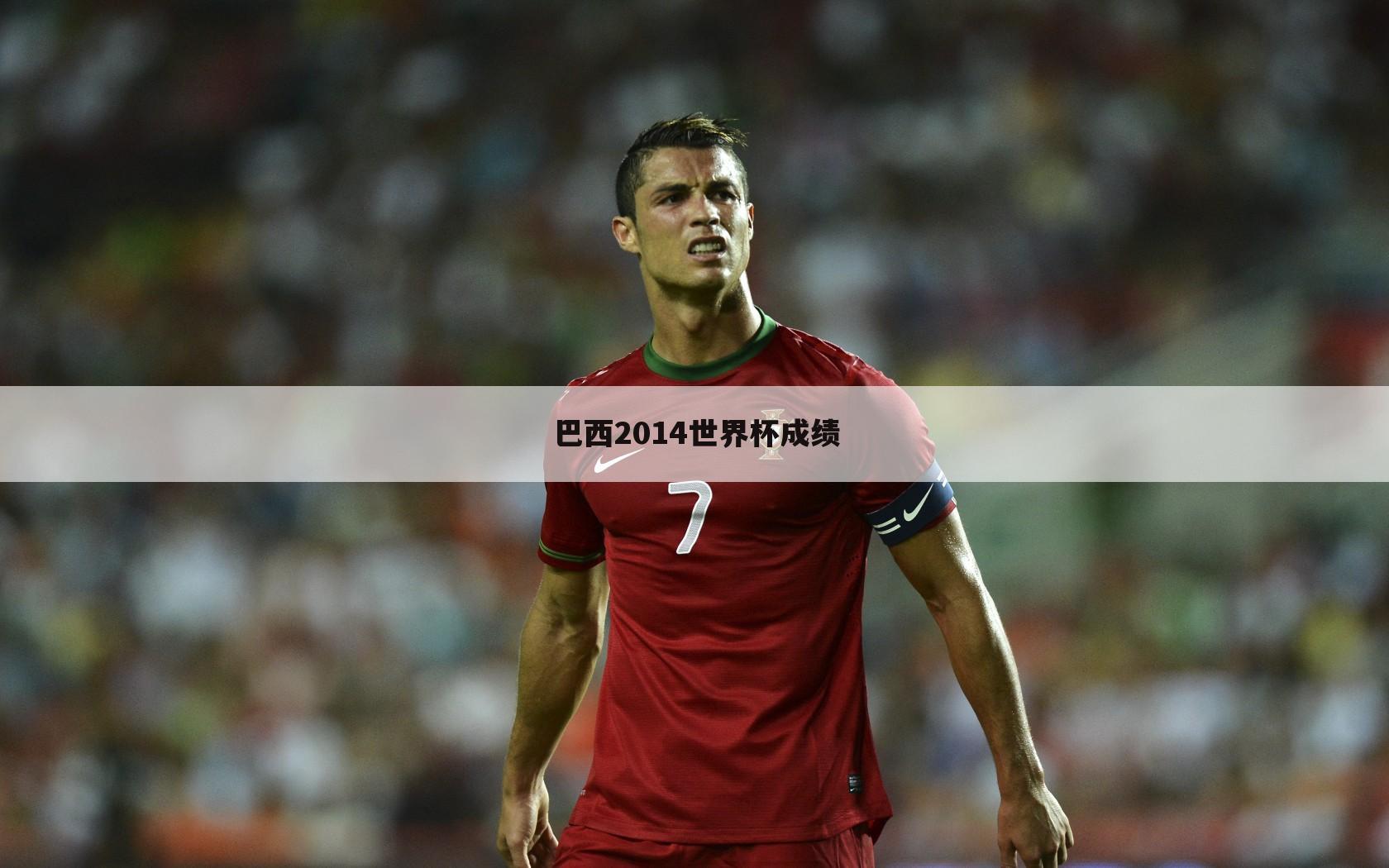 巴西2014世界杯成绩