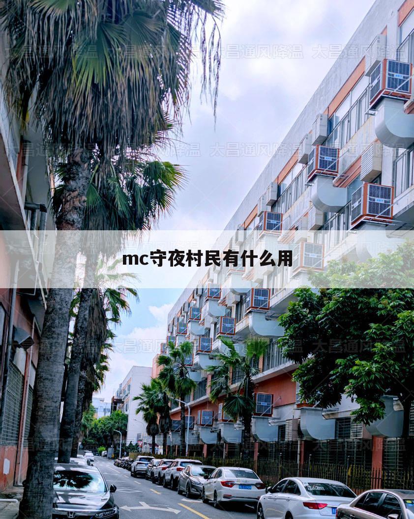 mc守夜村民有什么用