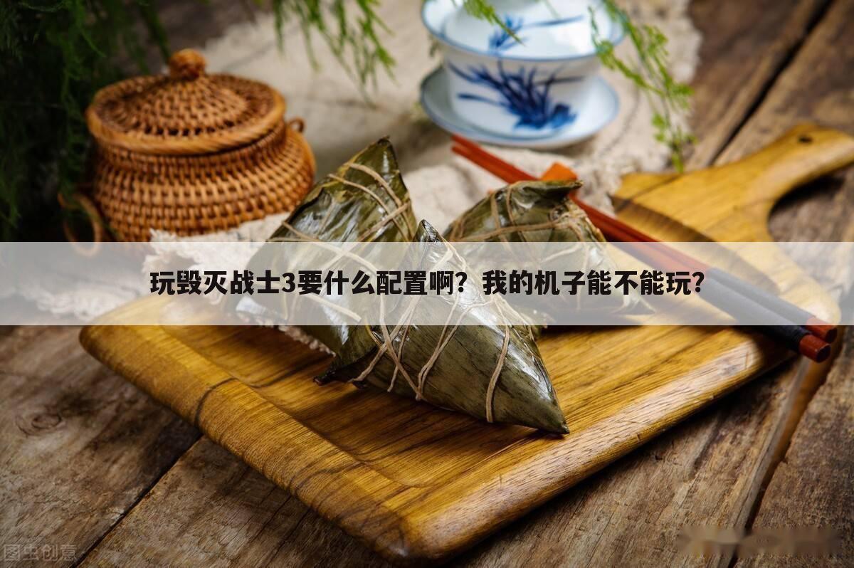 玩毁灭战士3要什么配置啊?我的机子能不能玩?