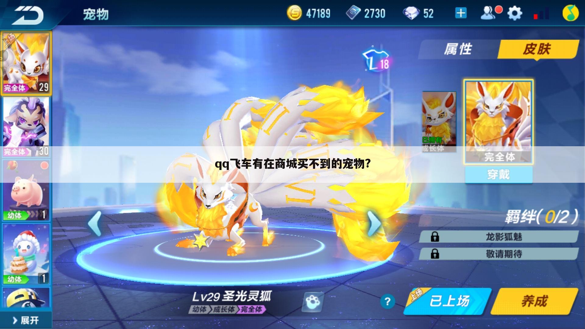 qq飞车有在商城买不到的宠物?