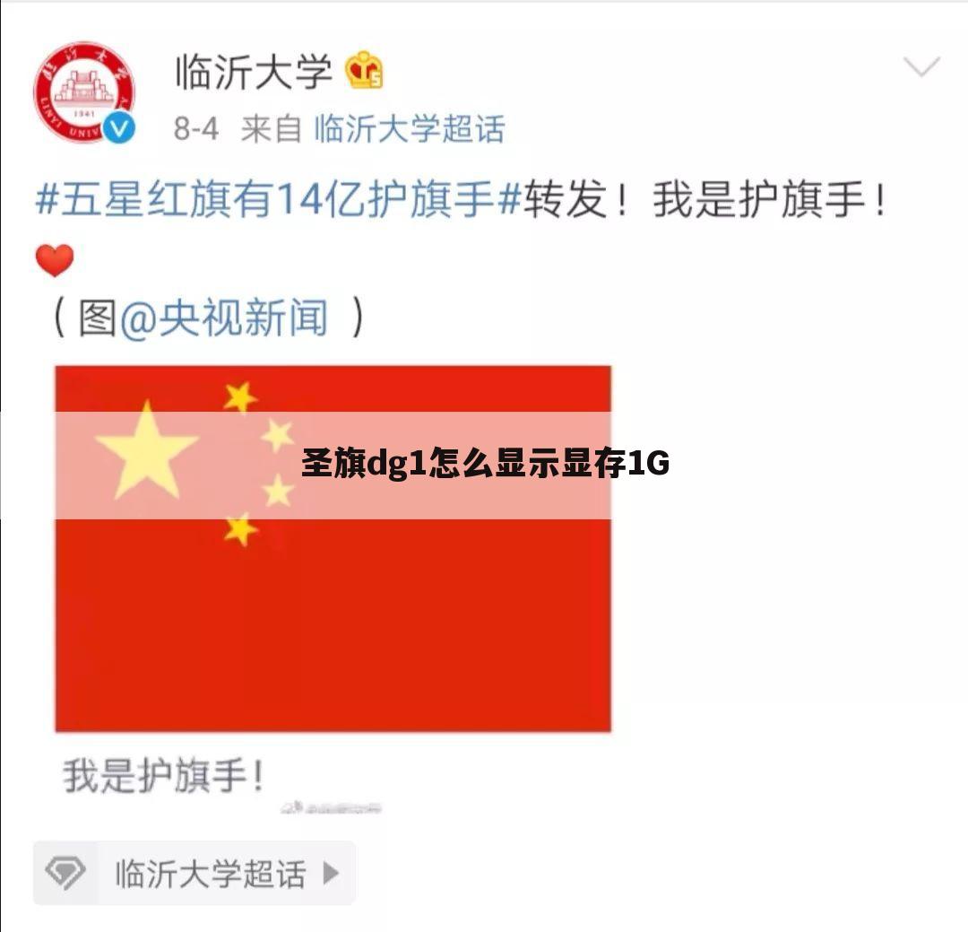 圣旗dg1怎么显示显存1G
