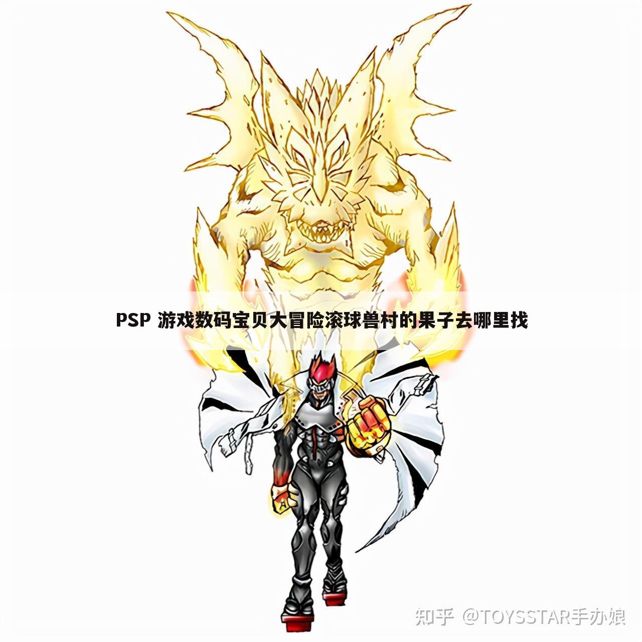 PSP 游戏数码宝贝大冒险滚球兽村的果子去哪里找