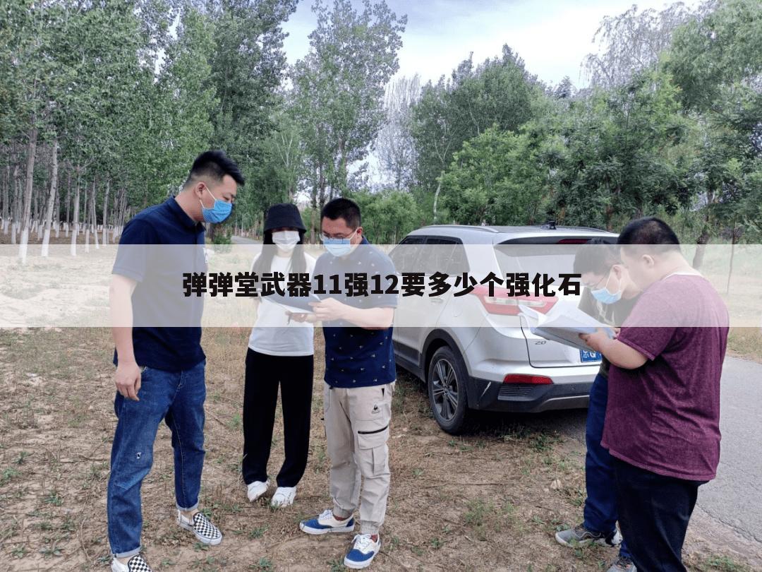弹弹堂武器11强12要多少个强化石