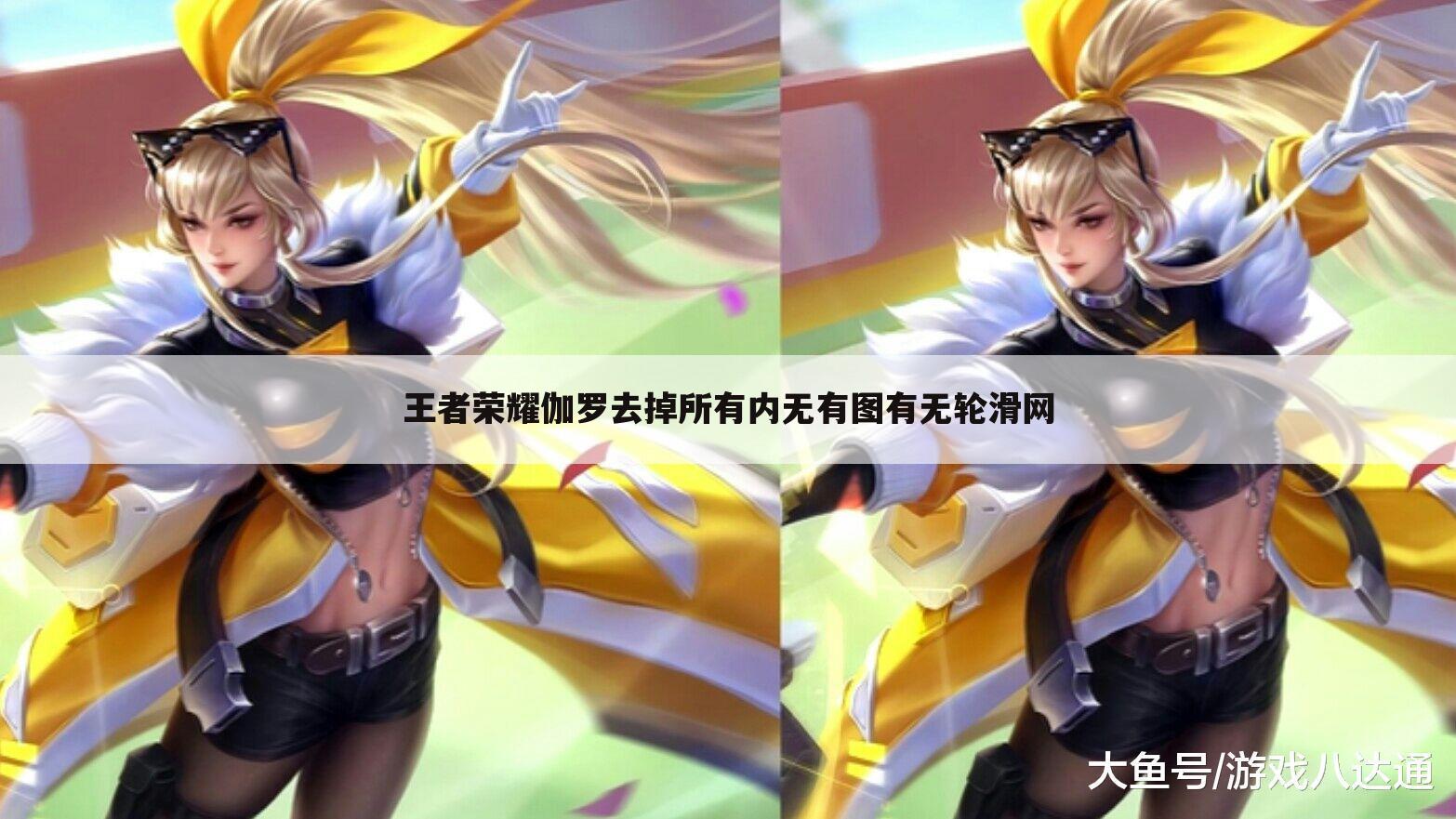 王者荣耀伽罗去掉所有内无有图有无轮滑网