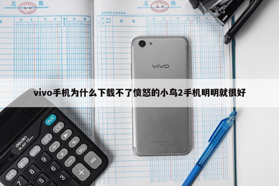 vivo手机为什么下载不了愤怒的小鸟2手机明明就很好