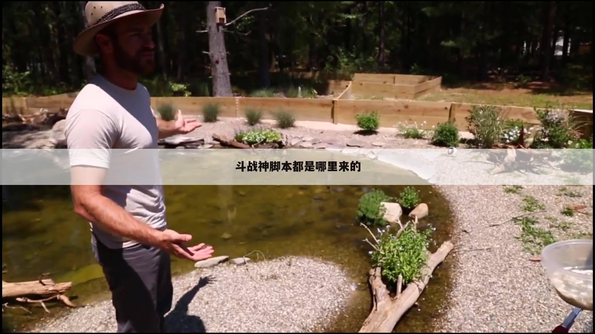 斗战神脚本都是哪里来的