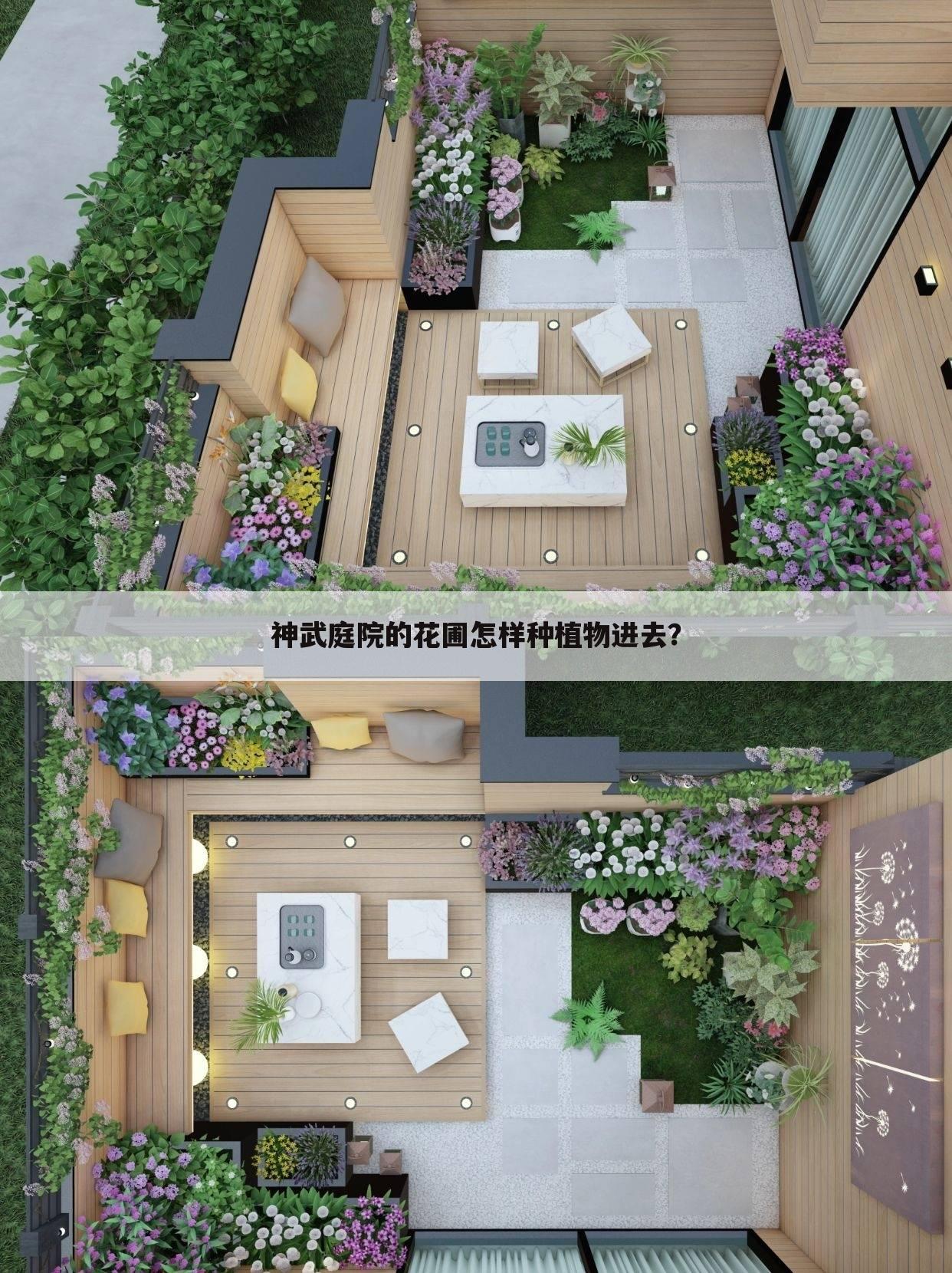 神武庭院的花圃怎样种植物进去?