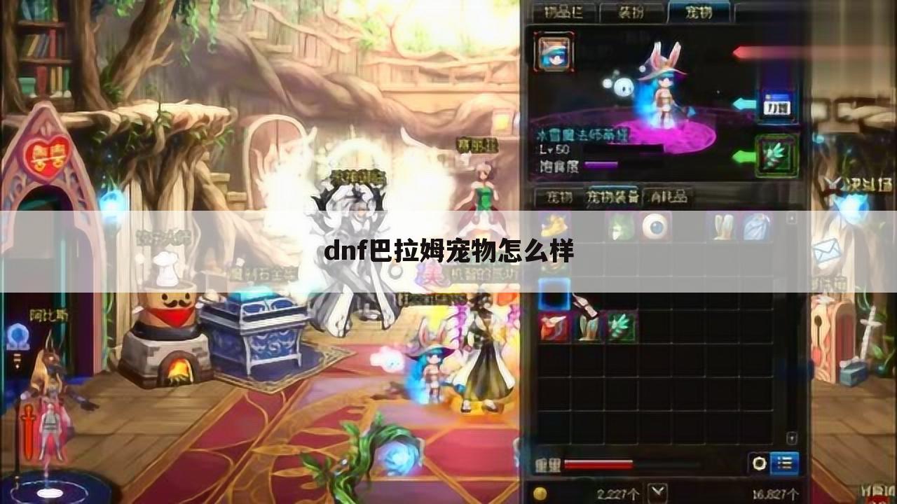 dnf巴拉姆宠物怎么样
