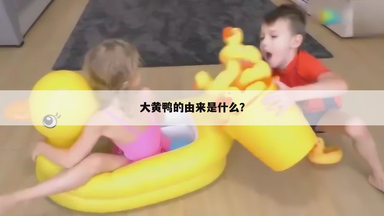 大黄鸭的由来是什么?