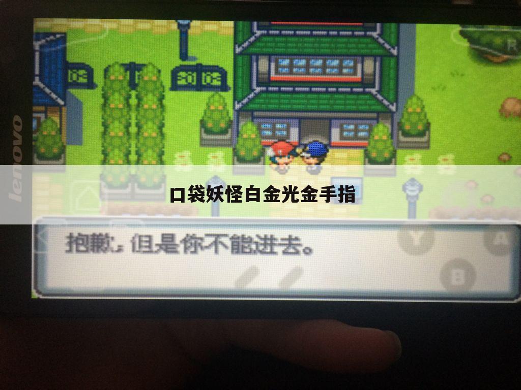 口袋妖怪白金光金手指