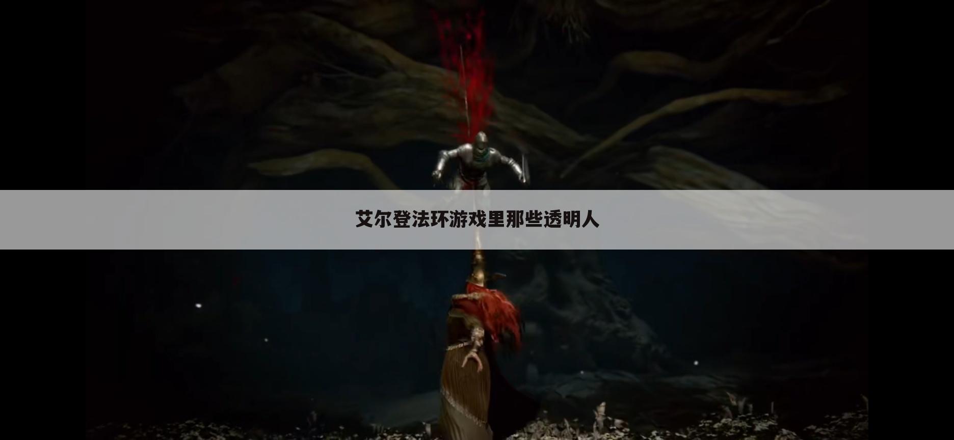 艾尔登法环游戏里那些透明人