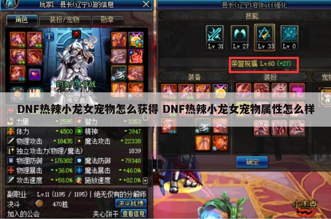 DNF热辣小龙女宠物怎么获得 DNF热辣小龙女宠物属性怎么样