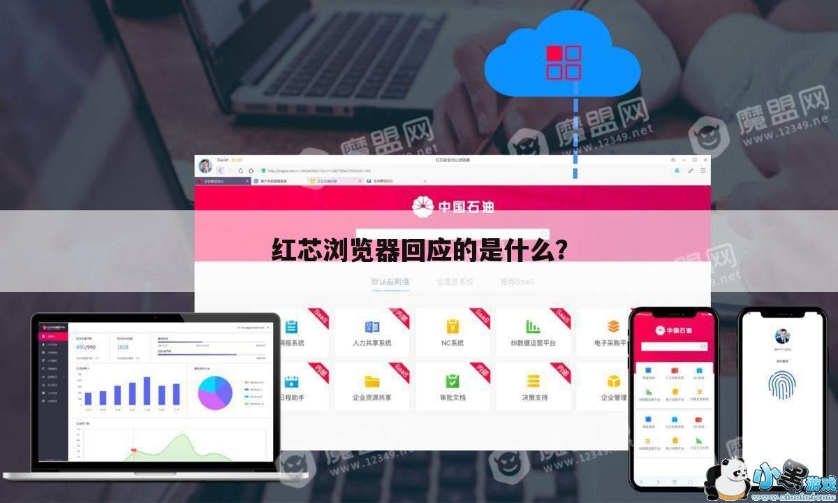 红芯浏览器回应的是什么?