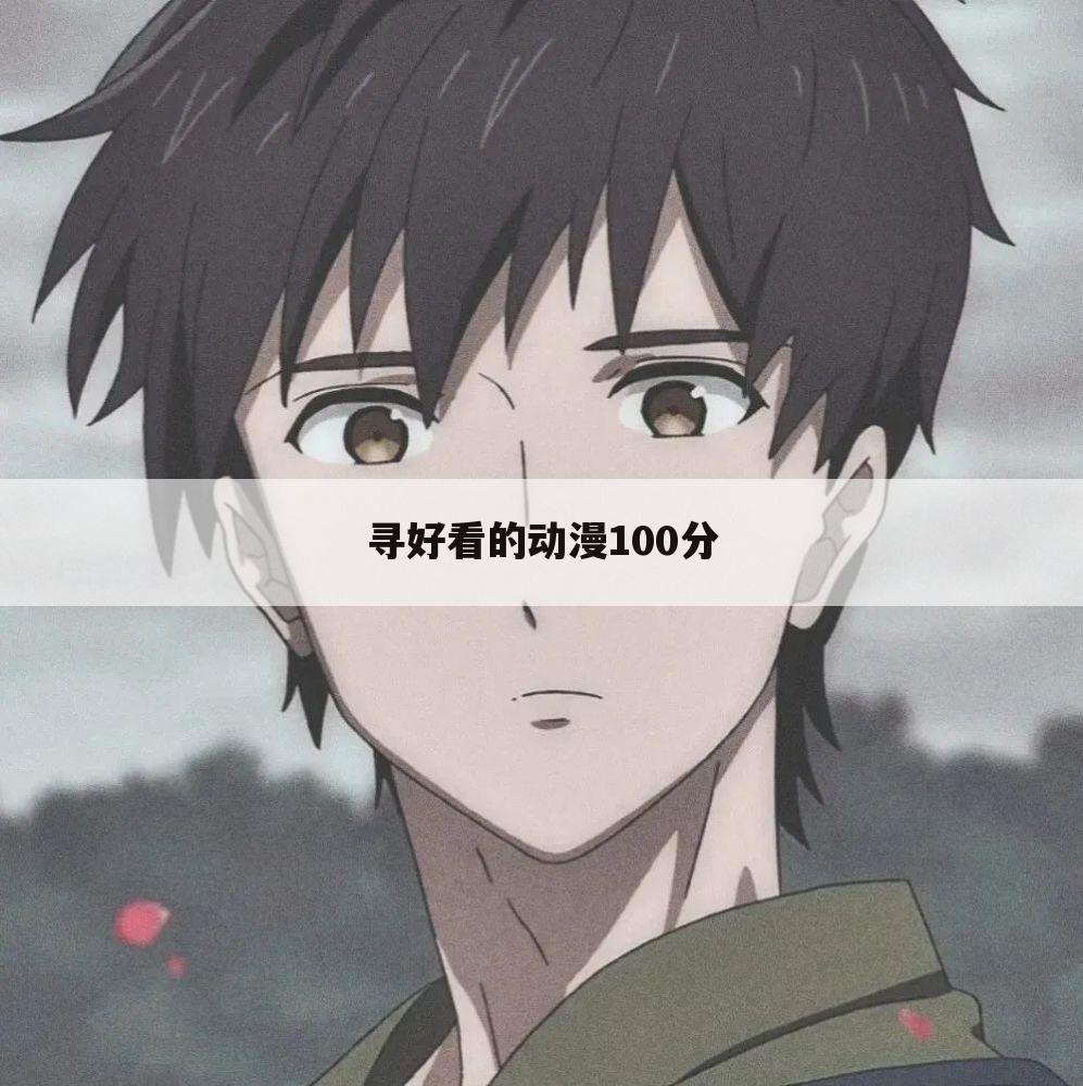 寻好看的动漫100分