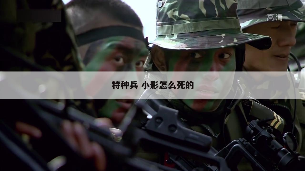 特种兵 小影怎么死的