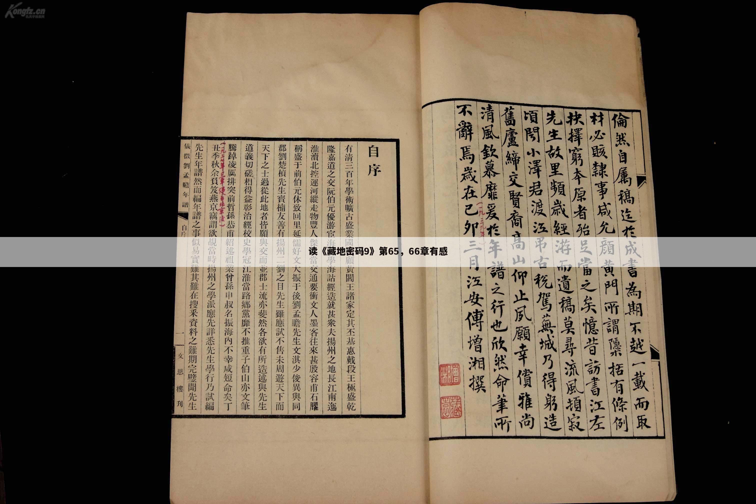 读《藏地密码9》第65,66章有感
