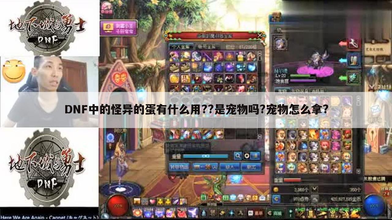 DNF中的怪异的蛋有什么用??是宠物吗?宠物怎么拿?