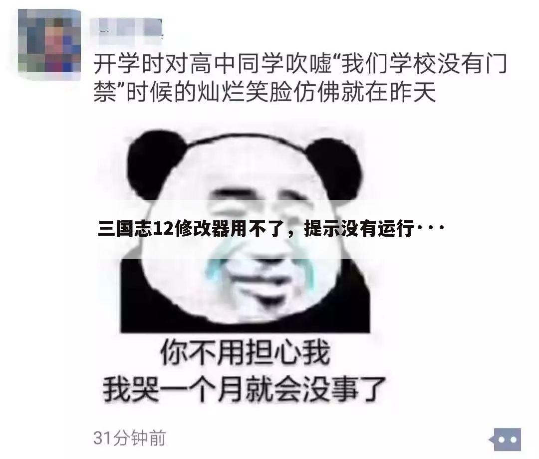 三国志12修改器用不了,提示没有运行···
