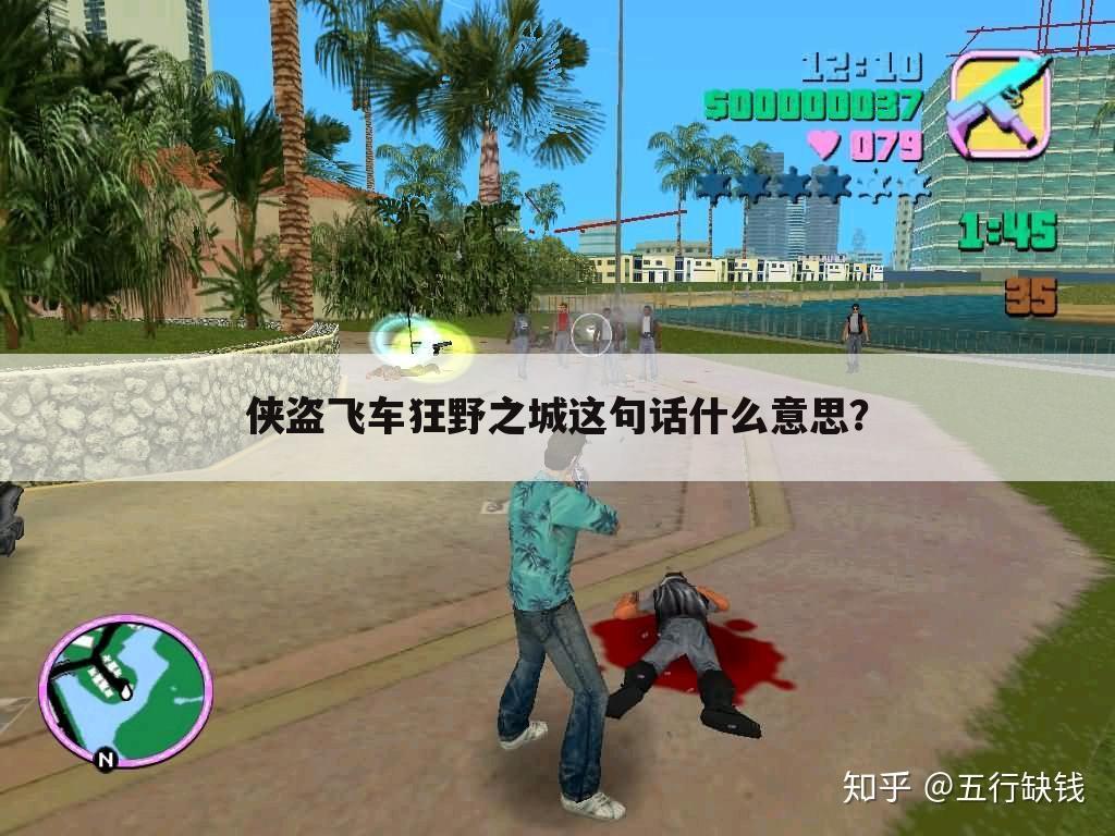 侠盗飞车狂野之城这句话什么意思?