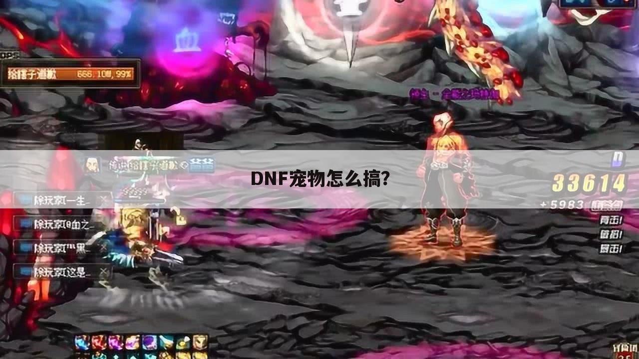 DNF宠物怎么搞?