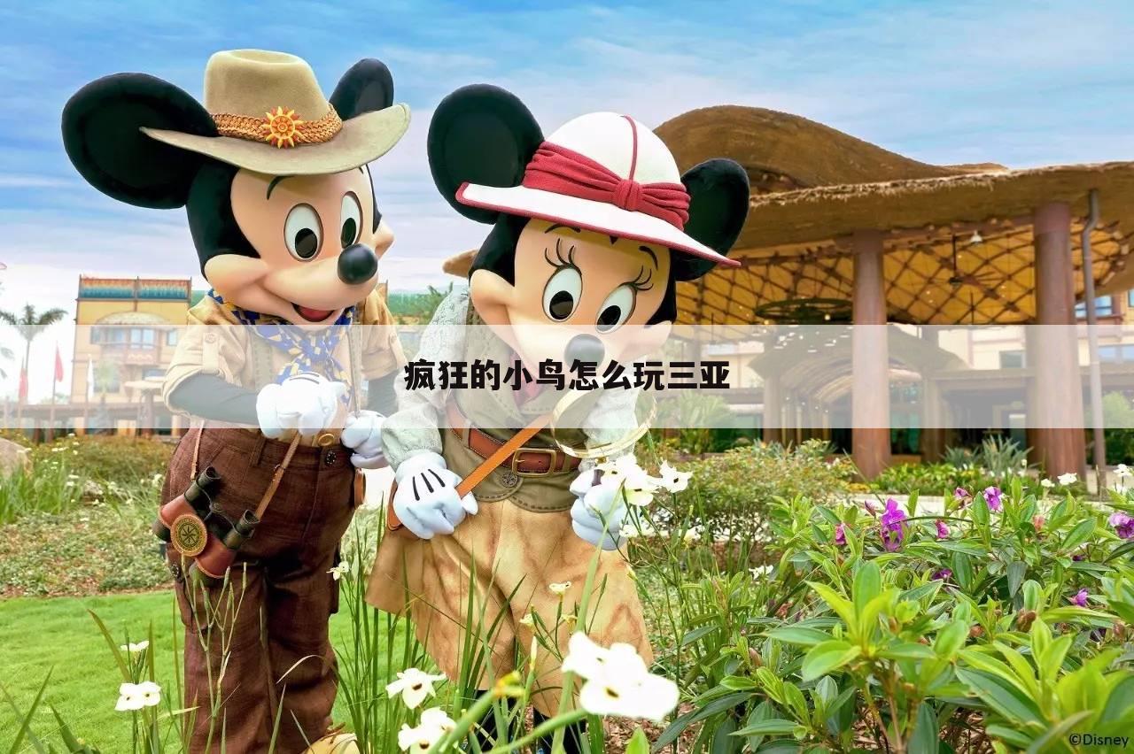 疯狂的小鸟怎么玩三亚
