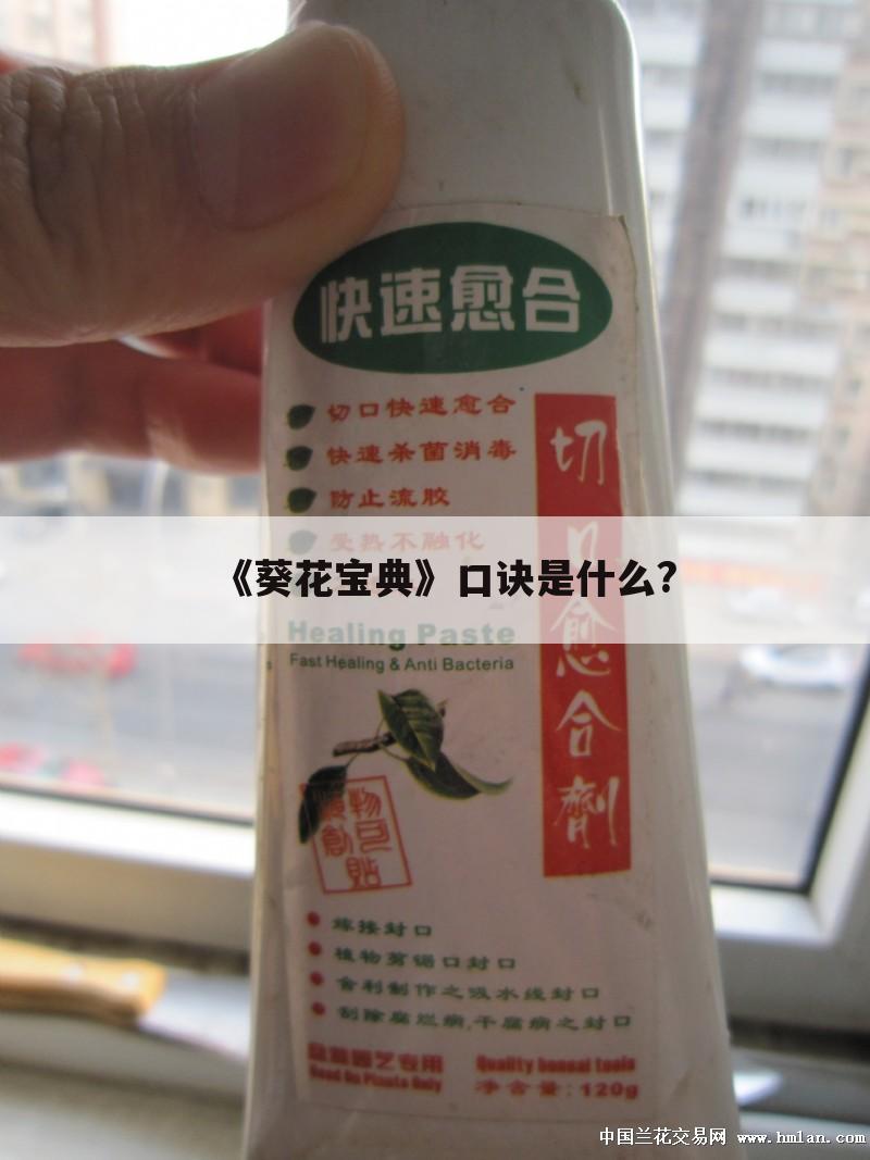 《葵花宝典》口诀是什么?