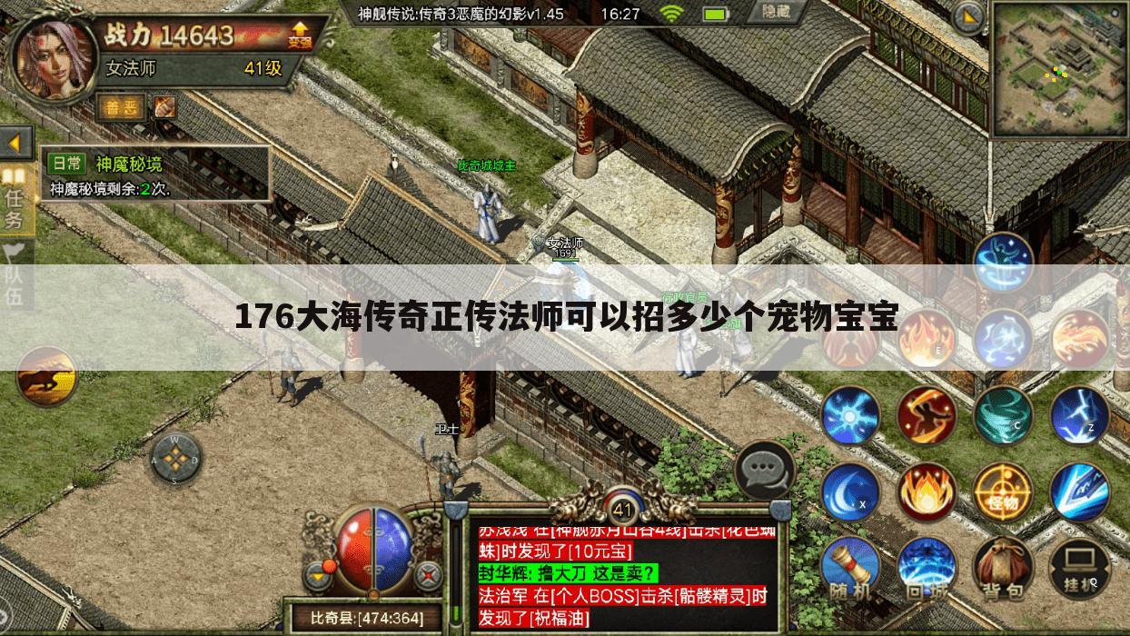 176大海传奇正传法师可以招多少个宠物宝宝
