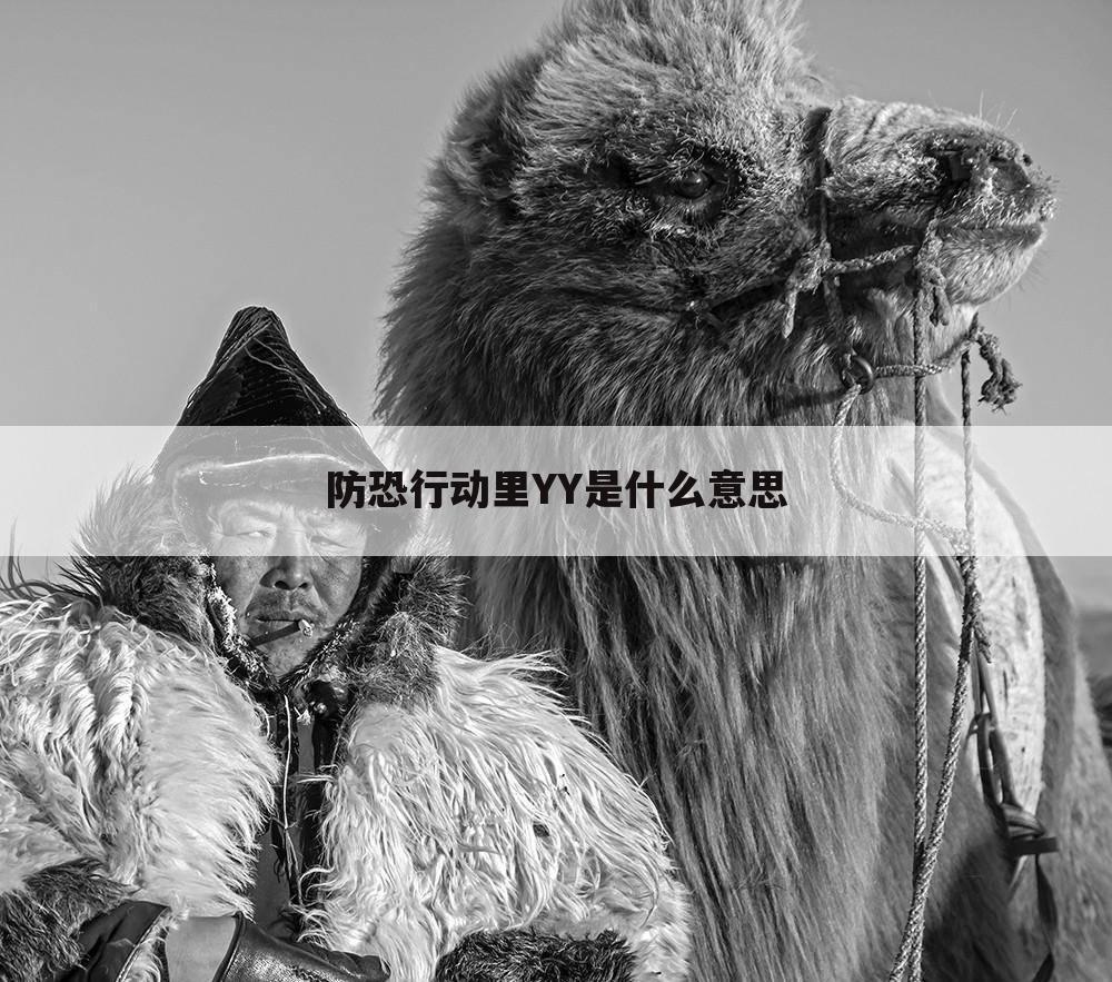 防恐行动里YY是什么意思
