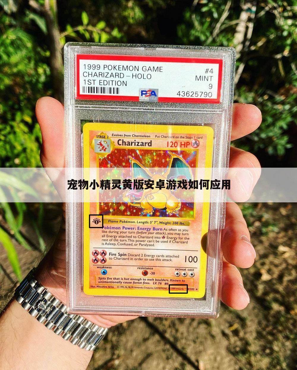宠物小精灵黄版安卓游戏如何应用