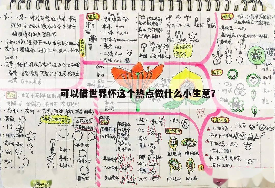 可以借世界杯这个热点做什么小生意?