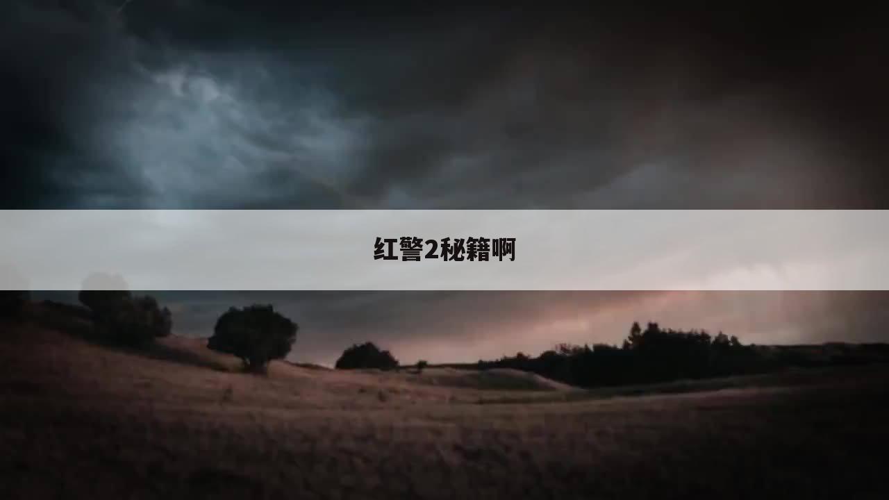 红警2秘籍啊
