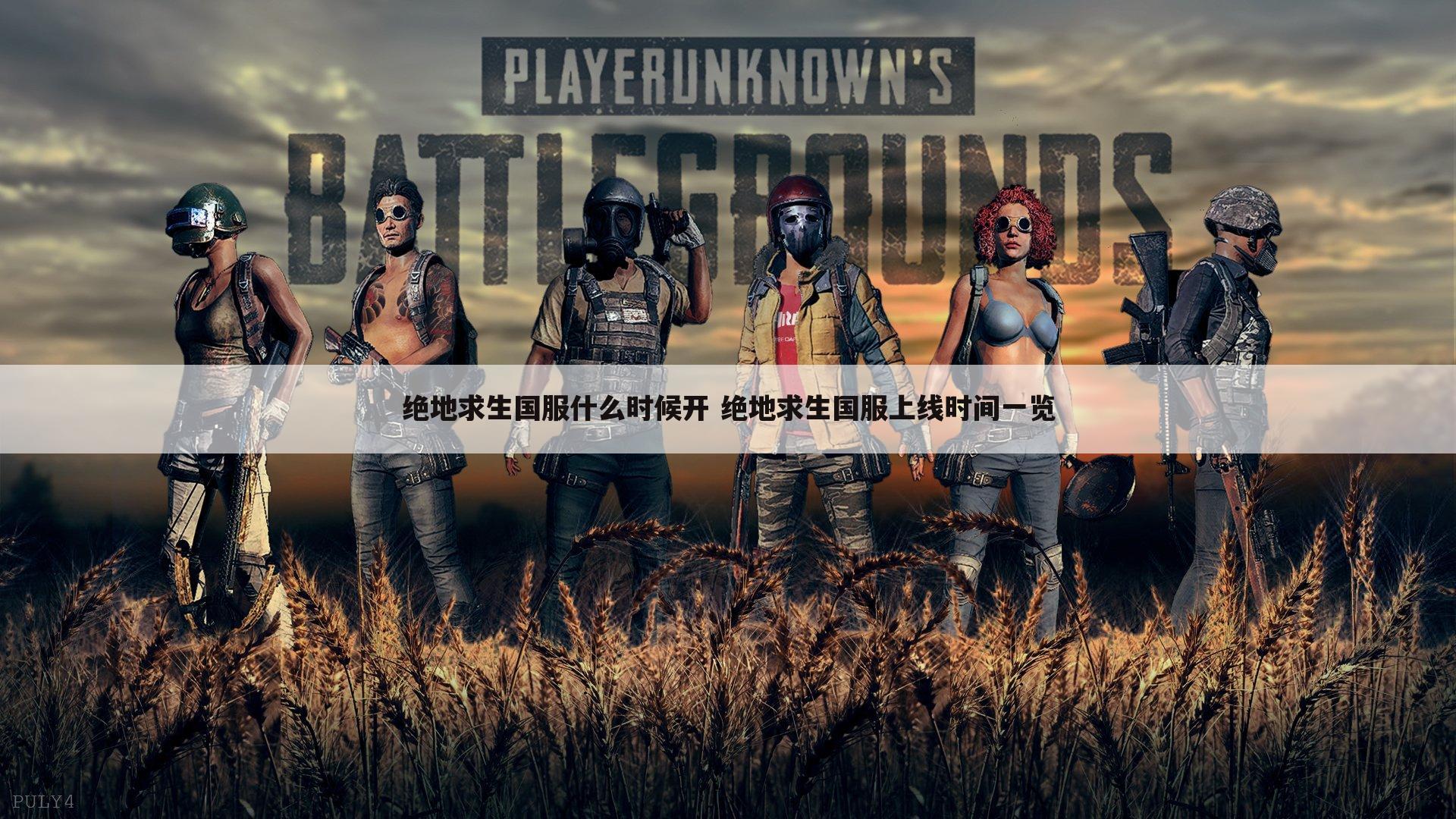 绝地求生国服什么时候开 绝地求生国服上线时间一览