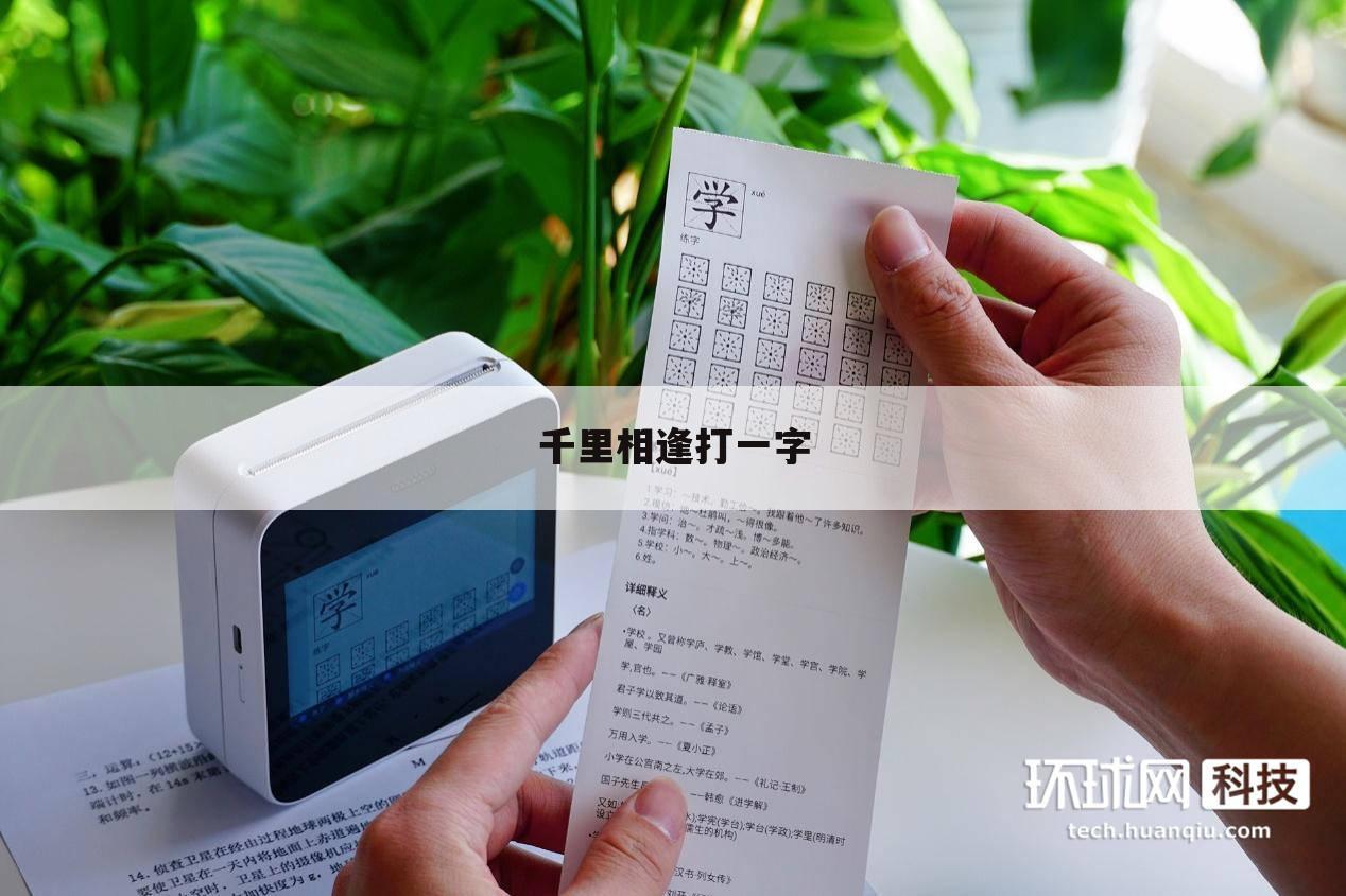 千里相逢打一字