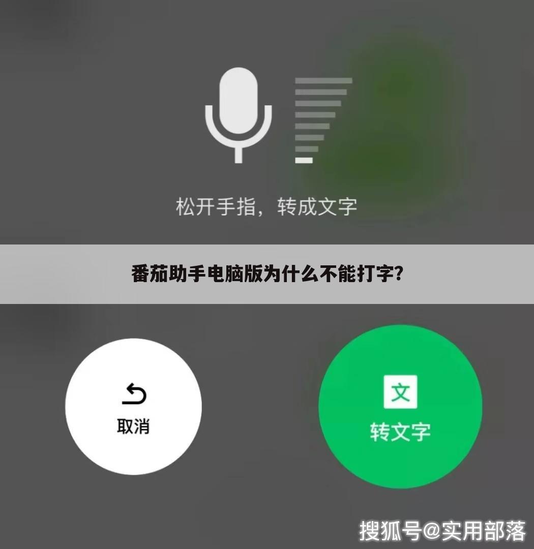 番茄助手电脑版为什么不能打字?