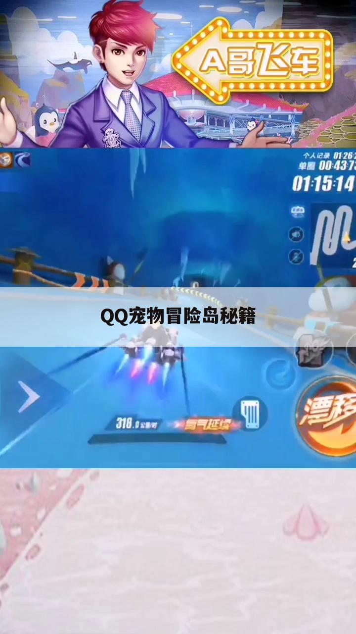 QQ宠物冒险岛秘籍