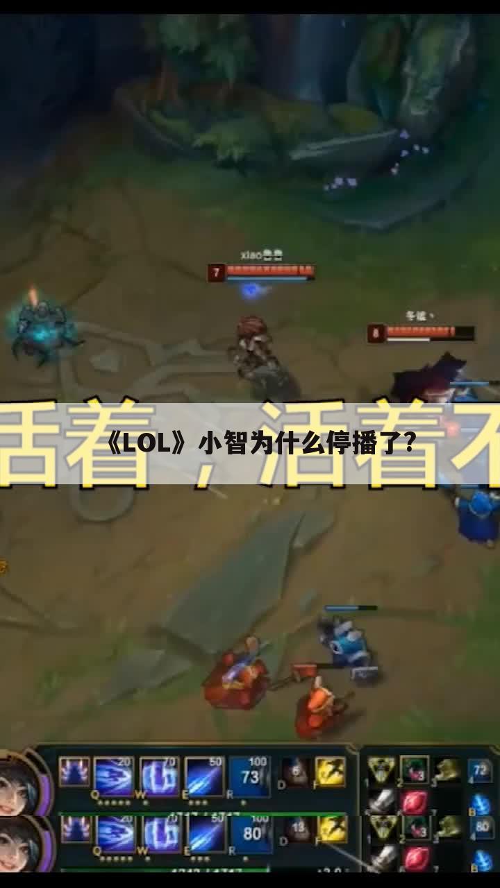 《LOL》小智为什么停播了?