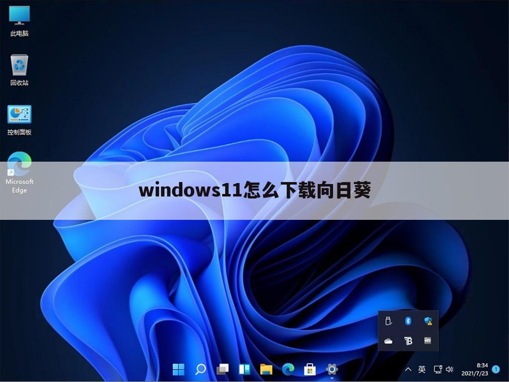 windows11怎么下载向日葵