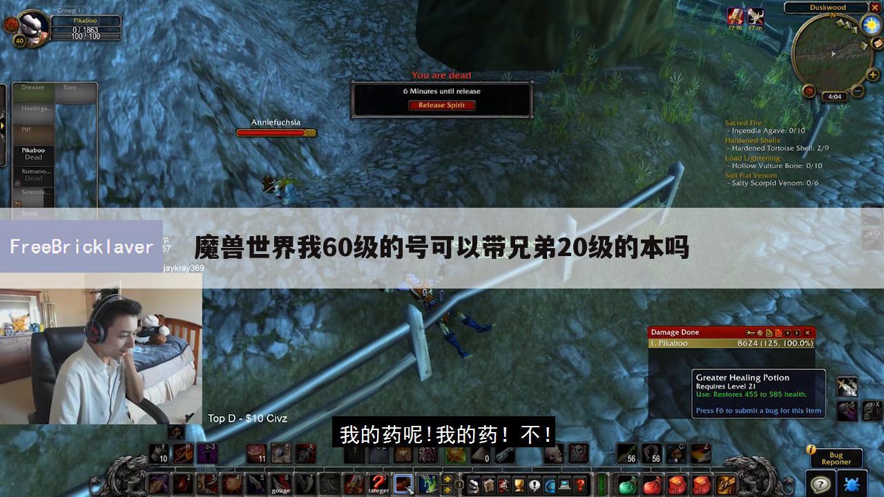魔兽世界我60级的号可以带兄弟20级的本吗
