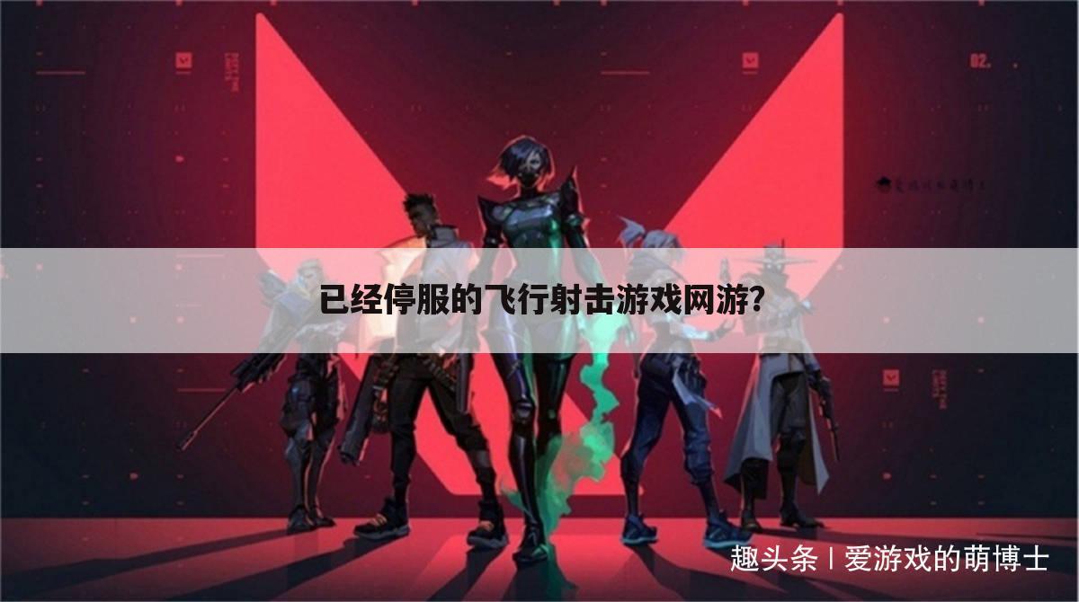 已经停服的飞行射击游戏网游?
