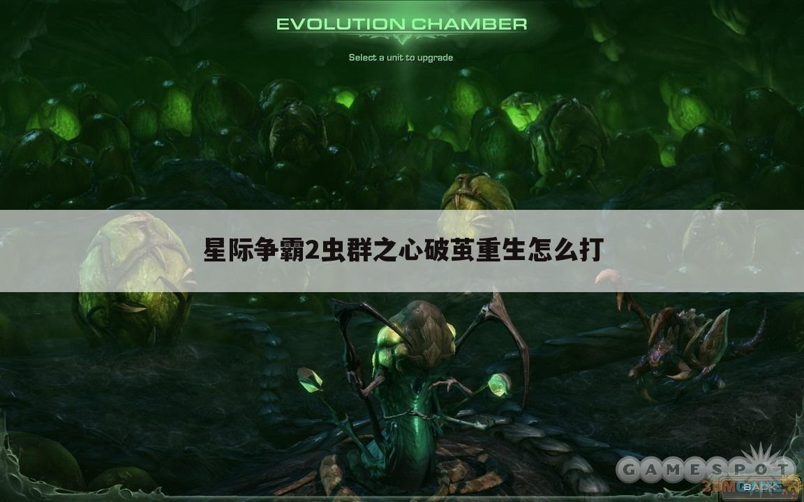 星际争霸2虫群之心破茧重生怎么打