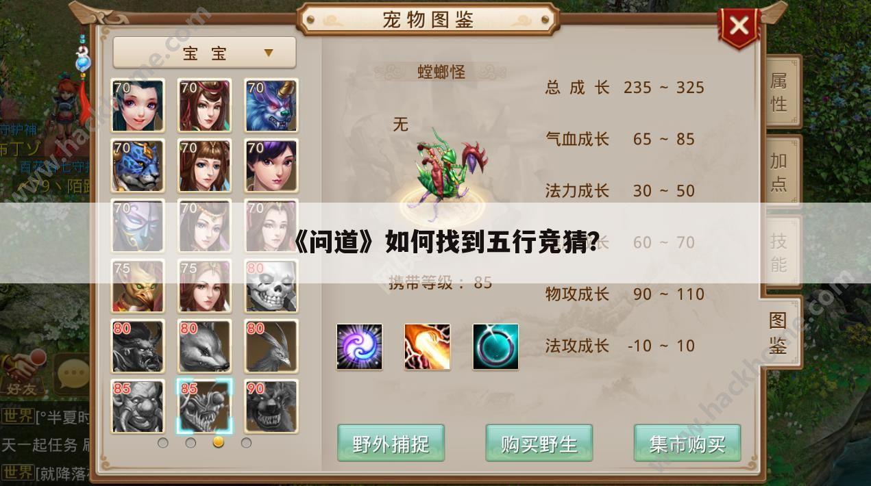 《问道》如何找到五行竞猜?