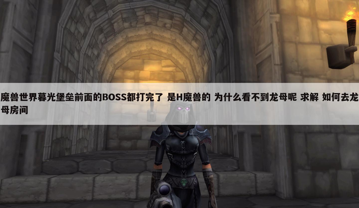 魔兽世界暮光堡垒前面的BOSS都打完了 是H魔兽的 为什么看不到龙母呢 求解 如何去龙母房间