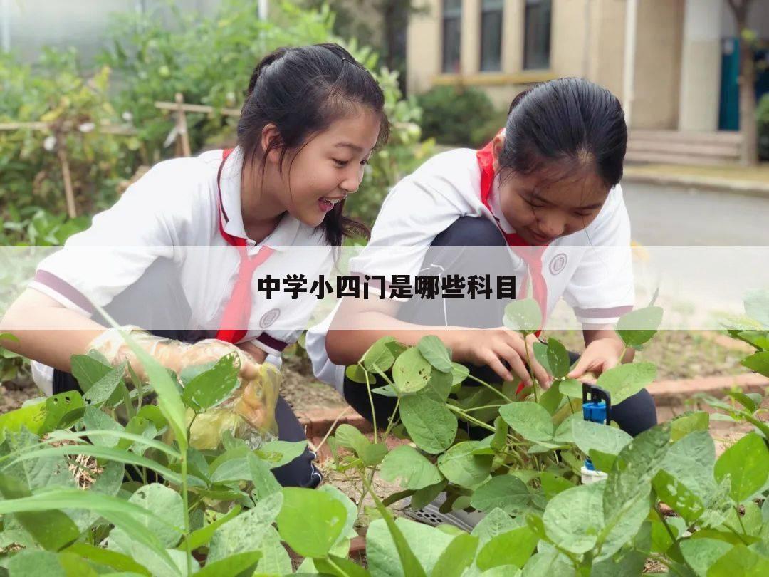 中学小四门是哪些科目