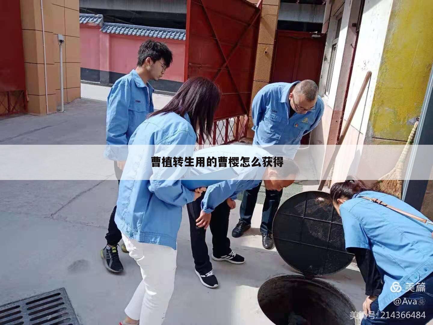 曹植转生用的曹樱怎么获得